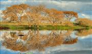zdjecie_2008-10-11_13