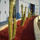 zdjecie_2008-10-11_16
