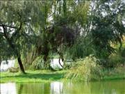 zdjecie_2008-10-11_23
