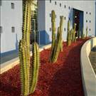 zdjecie_2008-10-11_3